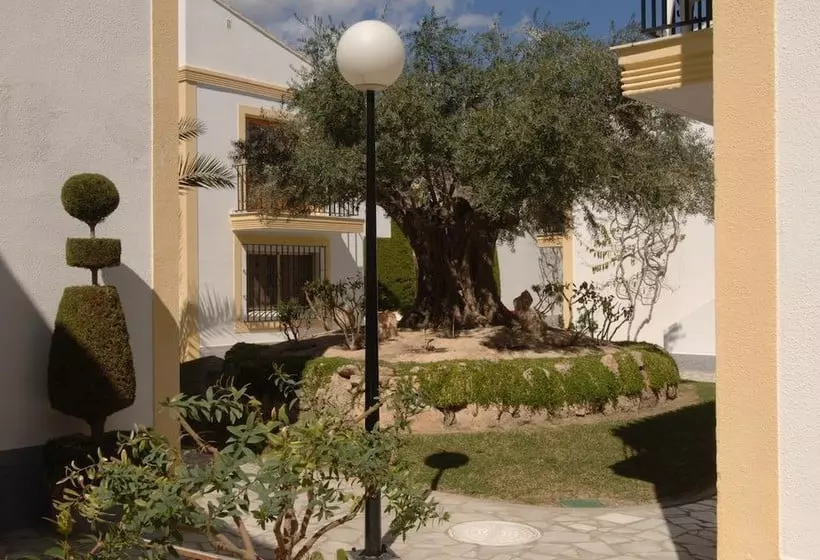 Apartamentos Vera Coast