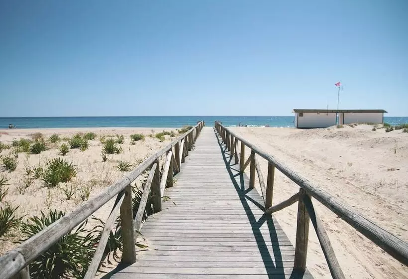 酒店 Avenida Playa