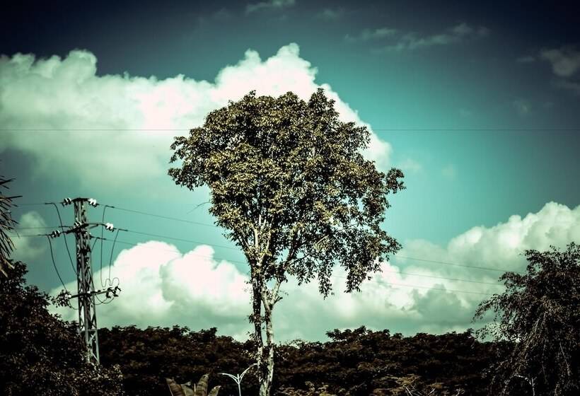 Siam Hotel Xishuangbanna