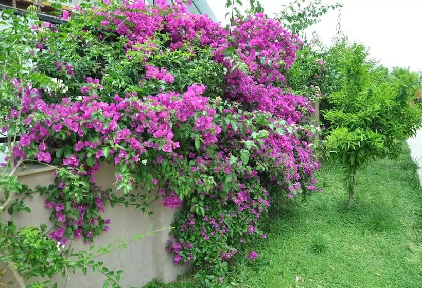 Premium Park Apart Otel