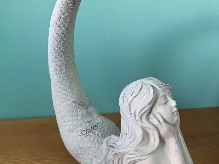 Aamiaismajoitus (B&B) The Newport Belle