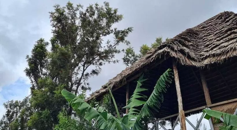 تختخواب و صبحانه View Mountain House   Backpackers