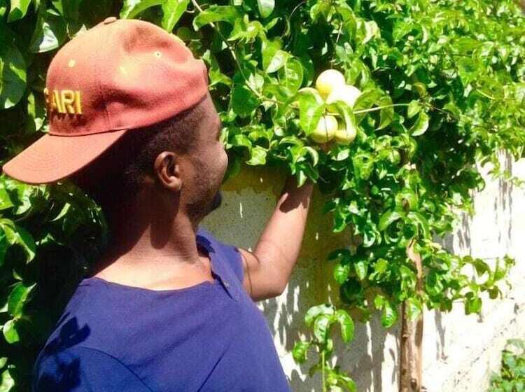 تختخواب و صبحانه View Mountain House Backpackers