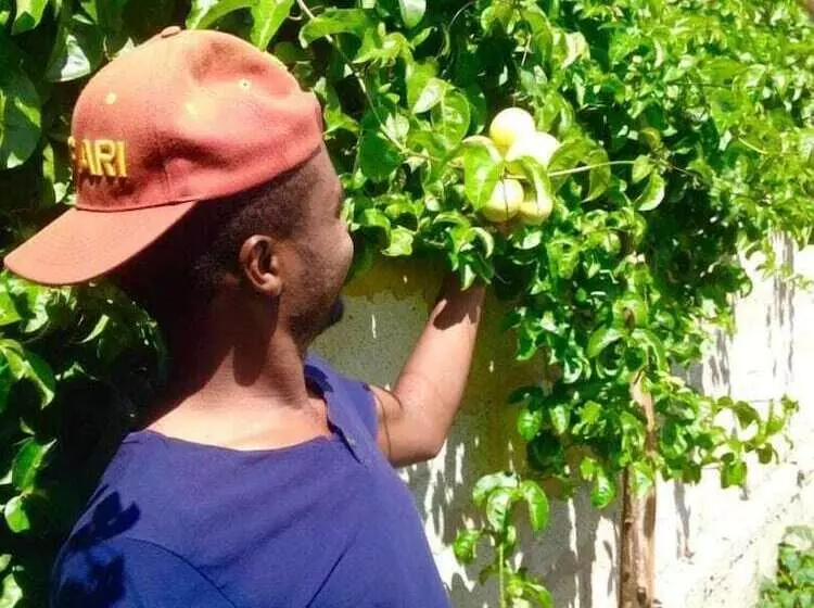 تختخواب و صبحانه View Mountain House   Backpackers