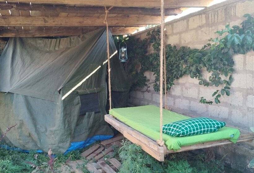 تختخواب و صبحانه View Mountain House Backpackers