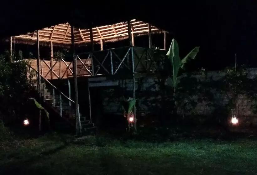 تختخواب و صبحانه View Mountain House   Backpackers