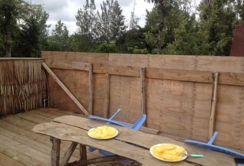 تختخواب و صبحانه View Mountain House Backpackers