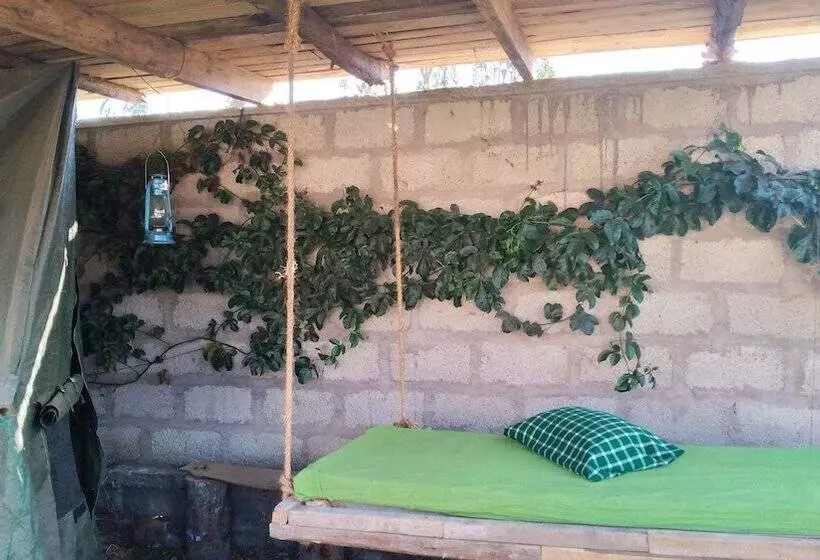 تختخواب و صبحانه View Mountain House   Backpackers