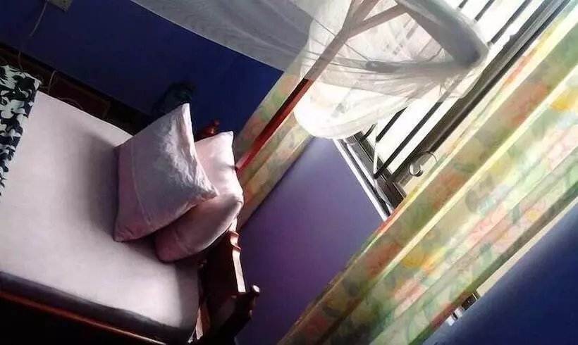 تختخواب و صبحانه View Mountain House   Backpackers