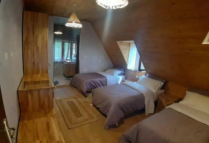 Hotelli Restaurant Alpet Theth