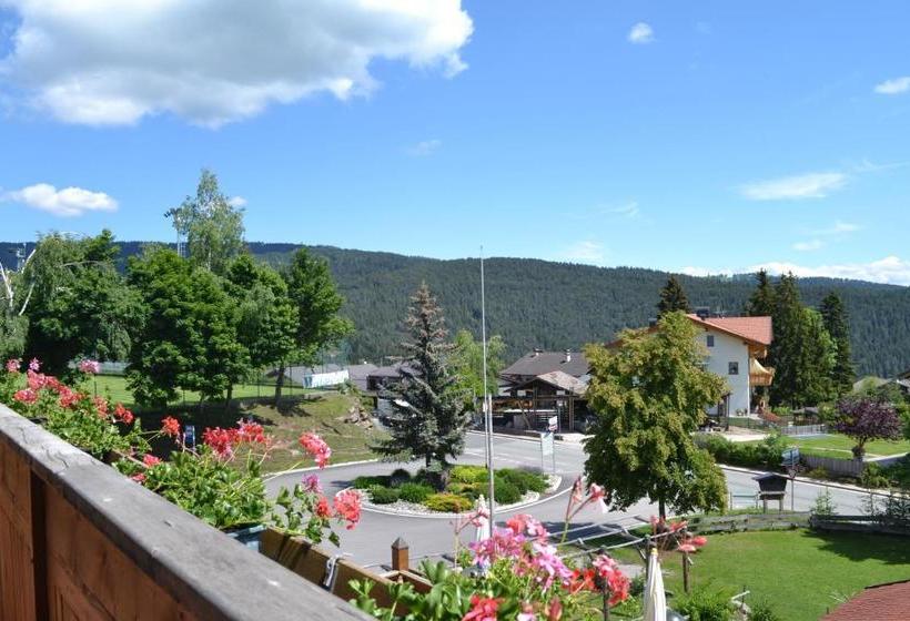 酒店 Gasthof Zum Grünen Baum