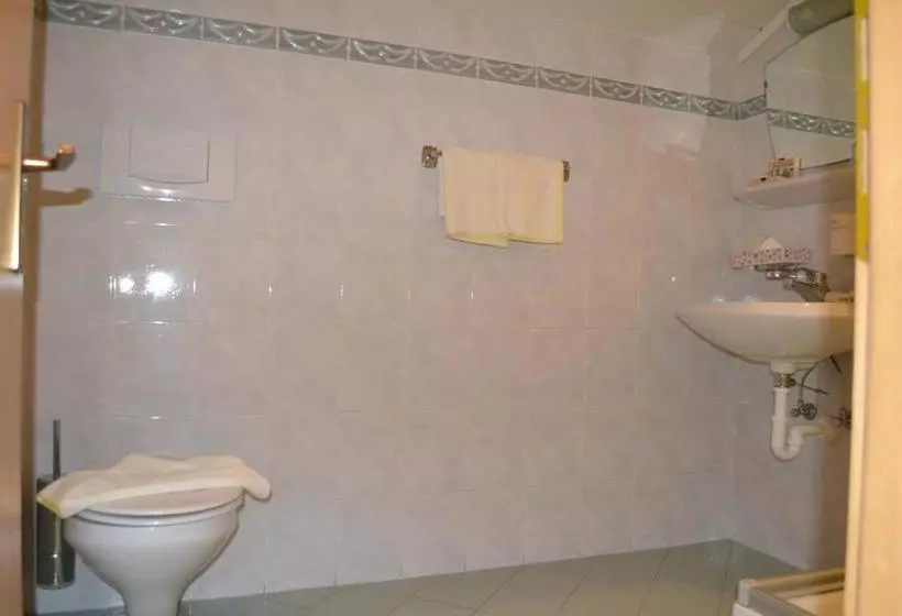 ホテル Gasthof Zum Grünen Baum