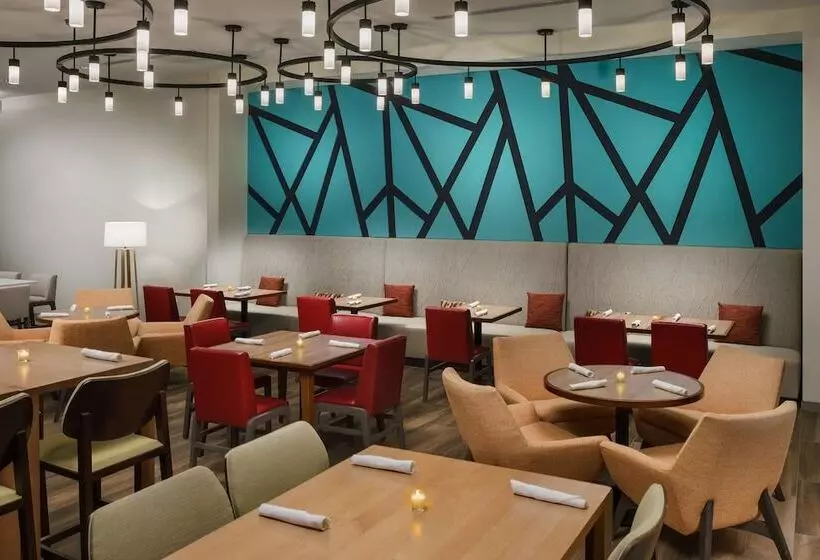 ホテル Hilton Garden Inn Apopka City Center