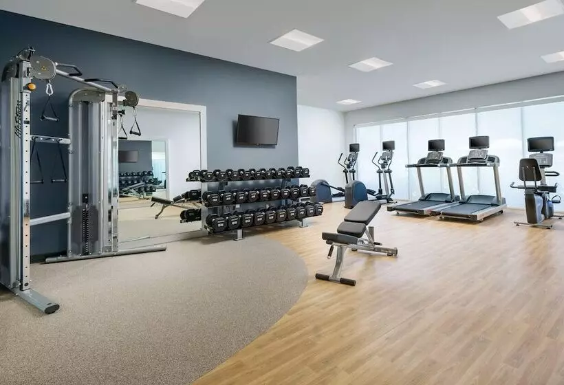 ホテル Hilton Garden Inn Apopka City Center