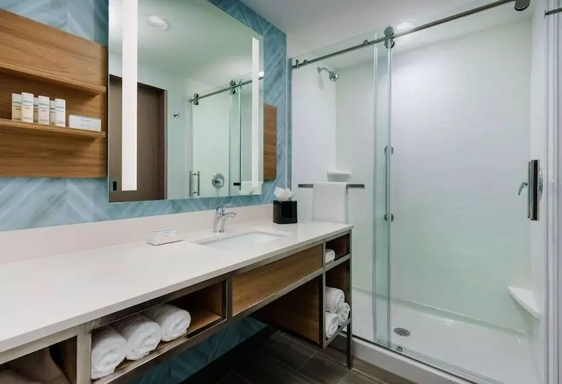 ホテル Hilton Garden Inn Apopka City Center