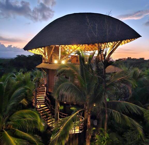 ホテル Nayara Bocas Del Toro