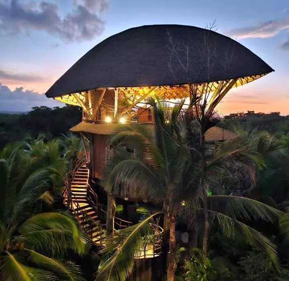 ホテル Nayara Bocas Del Toro