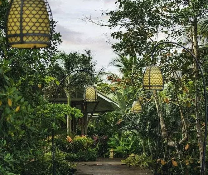 ホテル Nayara Bocas Del Toro