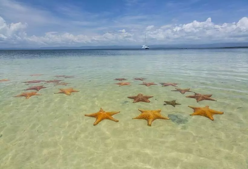 ホテル Nayara Bocas Del Toro