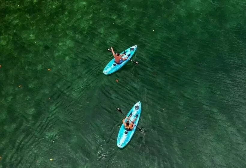 ホテル Nayara Bocas Del Toro