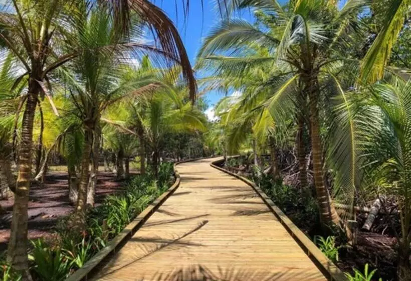 ホテル Nayara Bocas Del Toro