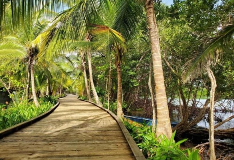 ホテル Nayara Bocas Del Toro