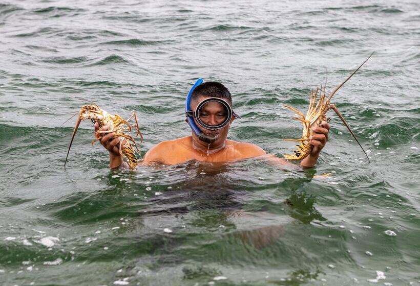 ホテル Nayara Bocas Del Toro