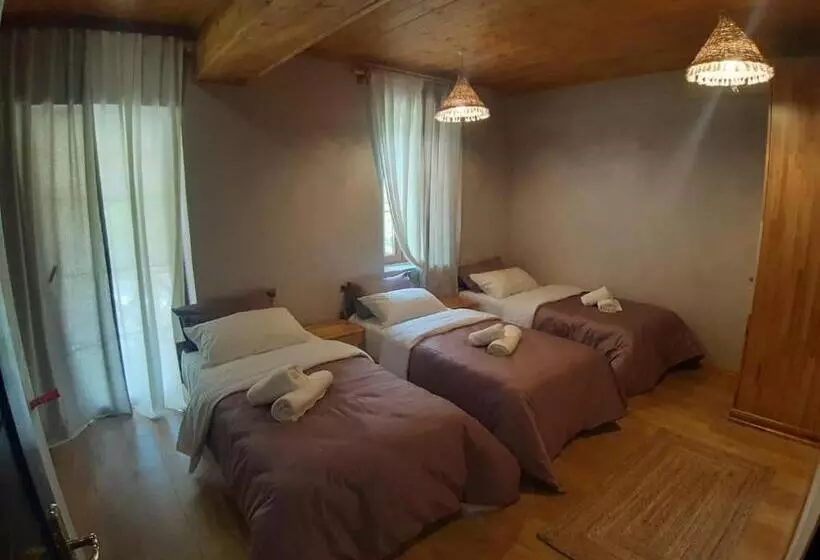 Hotelli Restaurant Alpet Theth