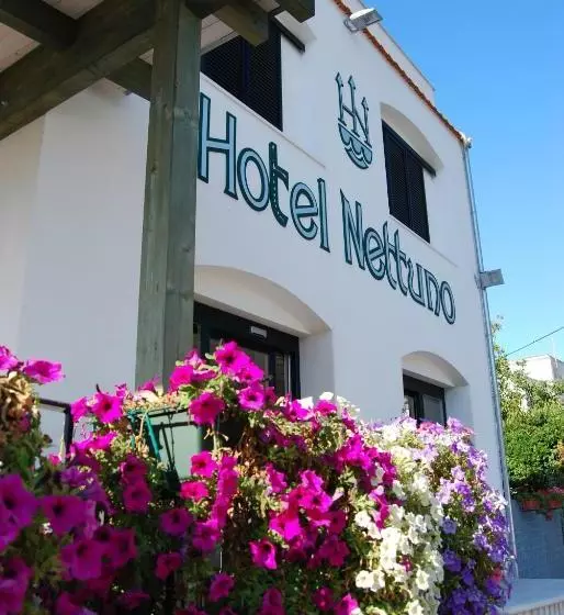 Hotel Villa Nettuno