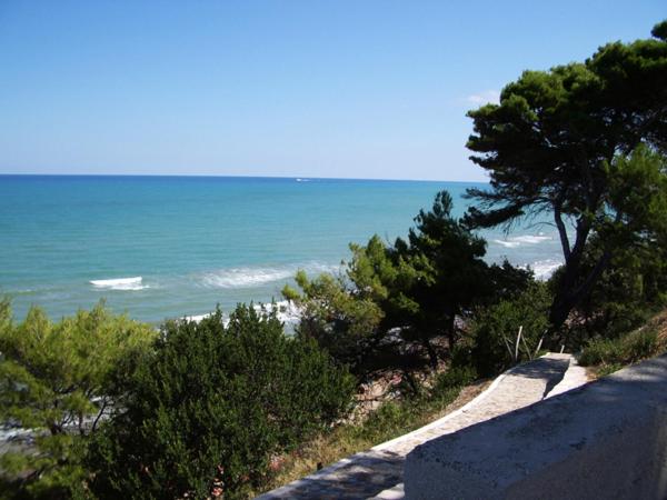 فندق Villa Nettuno