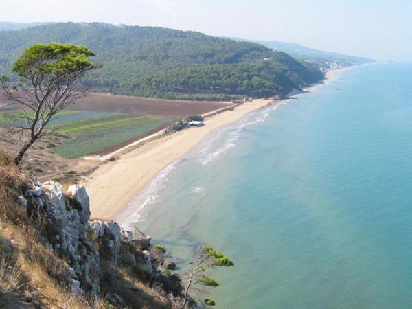 فندق Villa Nettuno