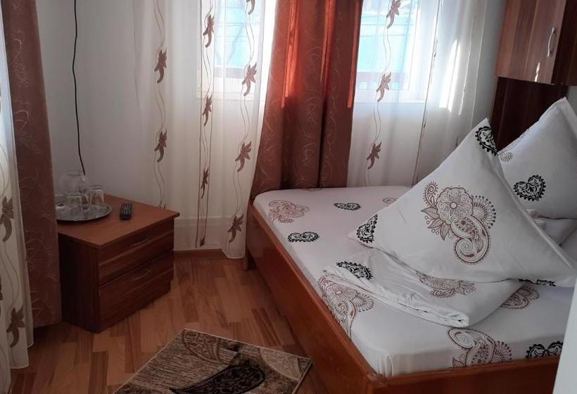 Пансион Casa Nicoleta