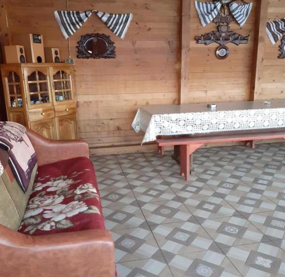 Пансион Casa Nicoleta