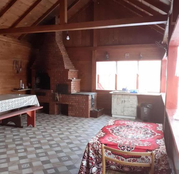 Пансион Casa Nicoleta