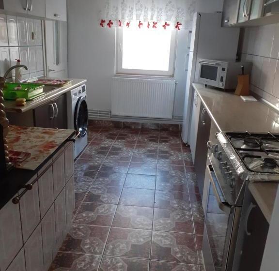 Пансион Casa Nicoleta