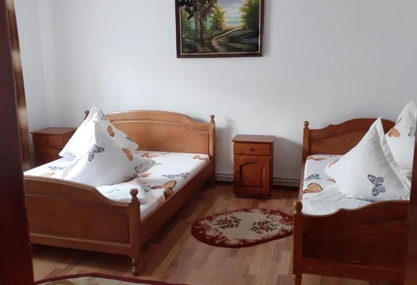 Пансион Casa Nicoleta