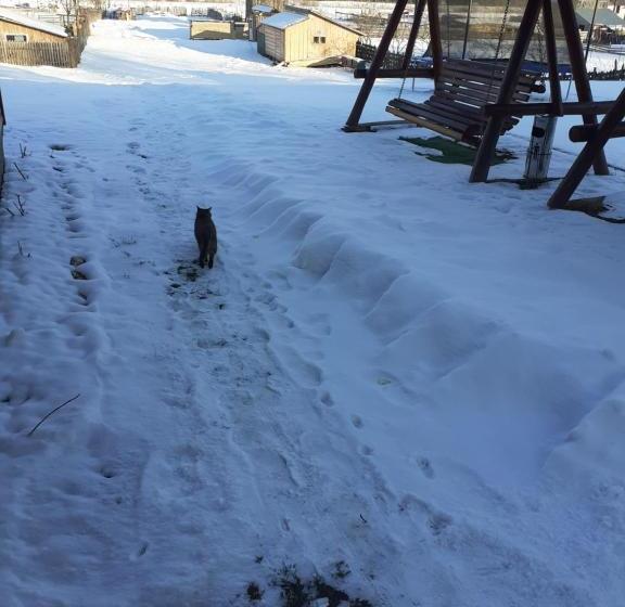 Пансион Casa Nicoleta