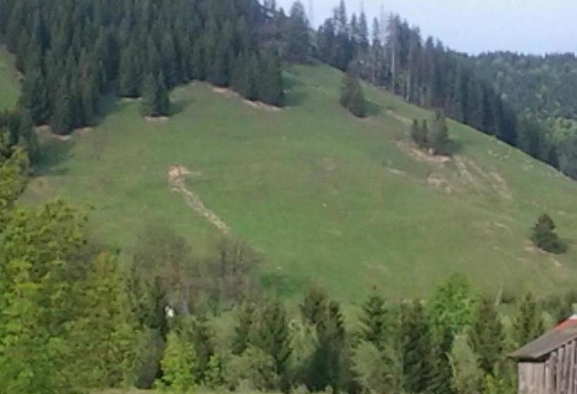 Пансион Casa Nicoleta