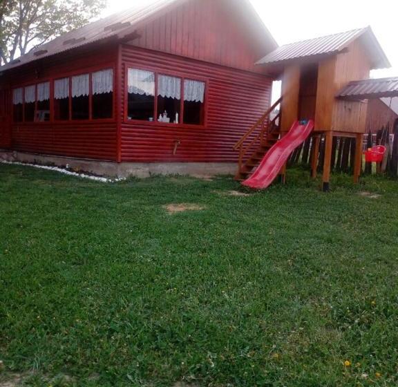 Пансион Casa Nicoleta