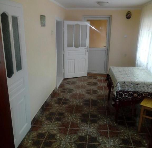 Пансион Casa Nicoleta