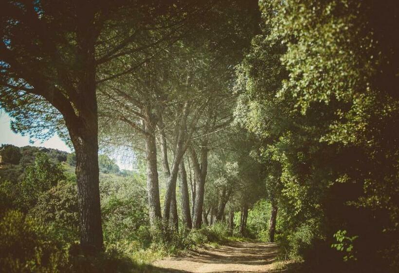 פנסיון Domaine Sainte Colombe