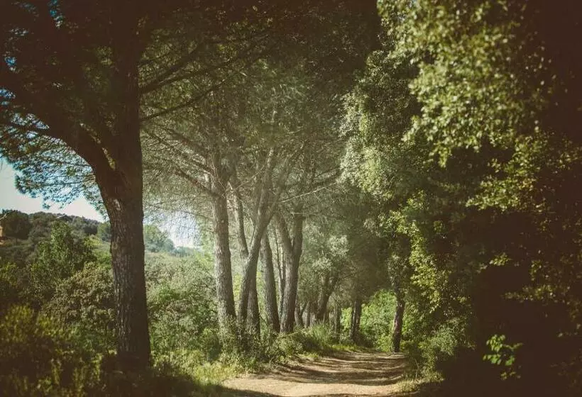 پانسیون Domaine Sainte Colombe