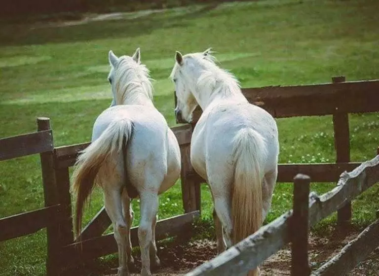 پانسیون Domaine Sainte Colombe