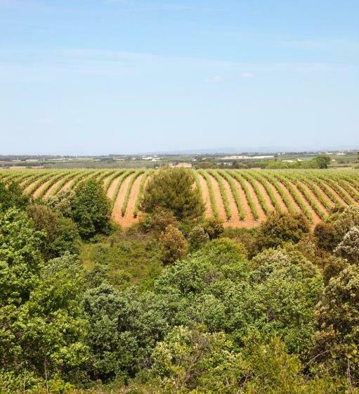 פנסיון Domaine Sainte Colombe