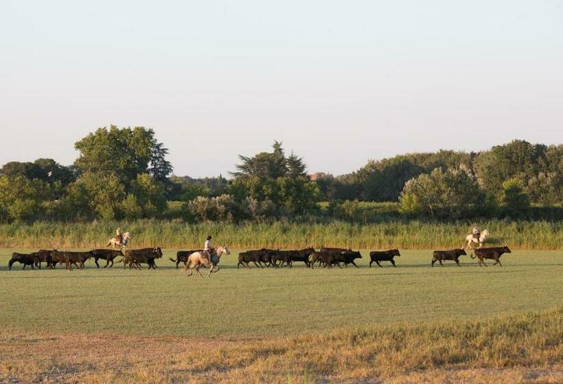 פנסיון Domaine Sainte Colombe