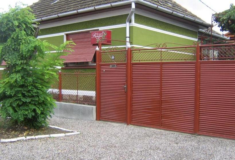 پانسیون Gyongyver Panzio