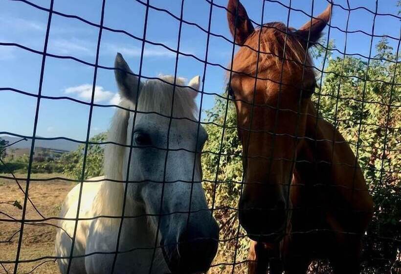 펜션 Villa Leccia Di Lorello