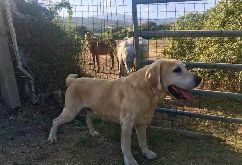 펜션 Villa Leccia Di Lorello