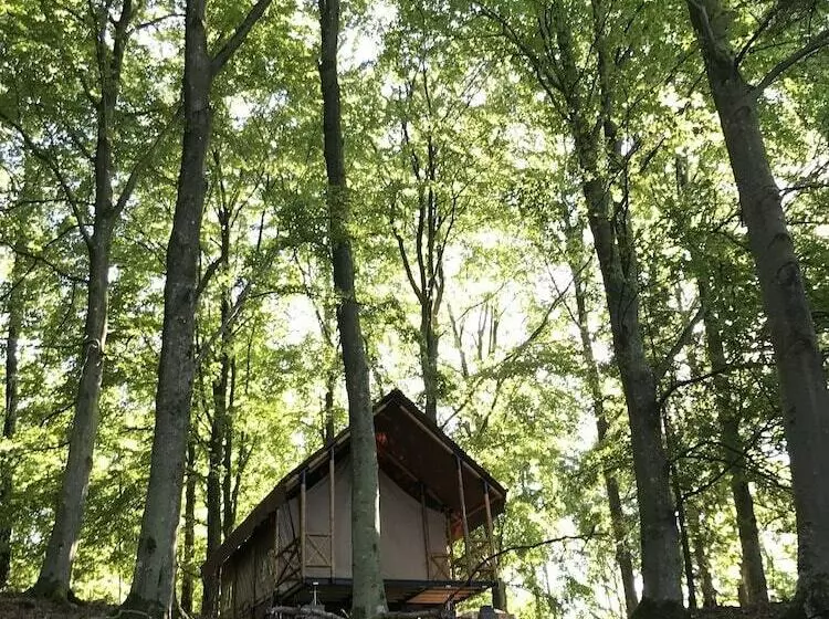 Anfasteröd Gårdsvik   Tälten