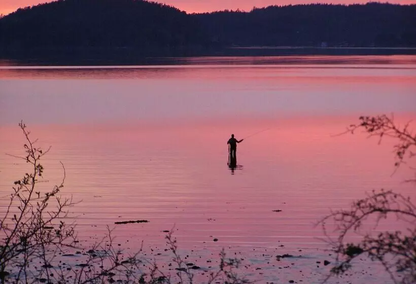 Anfasteröd Gårdsvik   Tälten
